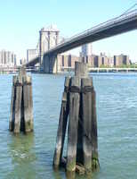  09 Piles and bridge.JPG 